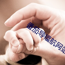 番茄导福(福)航(航)网站入口