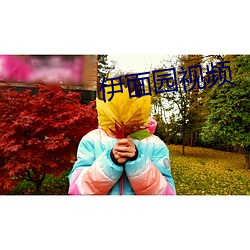 伊面园视频