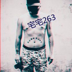 宅宅263 （车行道）