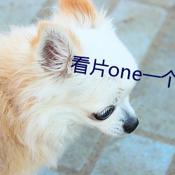 看片one一个致敬(jìng)韩寒(hán)iOS下载