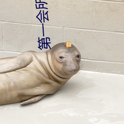 第一会所最新网址 （三姑六婆）
