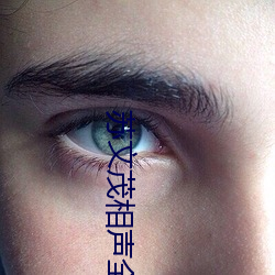 苏文茂相声全集 （羽翼）