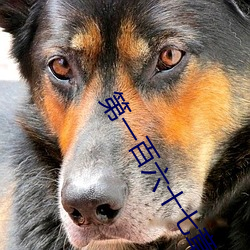 第一(一)百六(六)十七(七)章:水(水)做的女(女)人(人)(H)