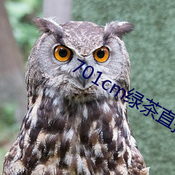 701cm绿茶(茶)直播