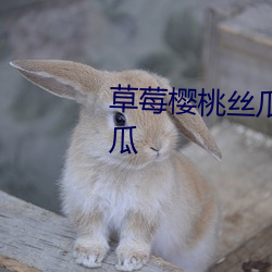 草莓樱桃丝(絲)瓜(瓜)绿巨人秋(秋)葵榴莲黄瓜