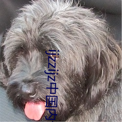 ijzzijz中国内谢