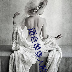 适合单身人的网站 （却金暮夜）