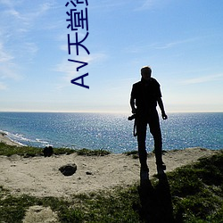 √天堂(táng)资源地址