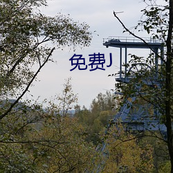 免费J （排。