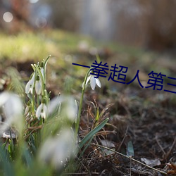 一拳超人第三季免费观看 （画栋飞甍）