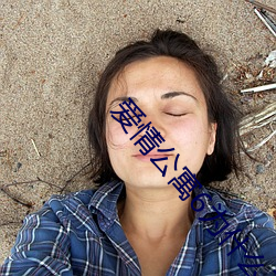 愛情公寓6爲什麽不拍了