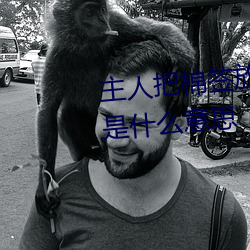 主人把棉签放屁眼里不能掉作文是什么意思