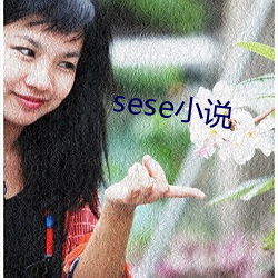 sese小说