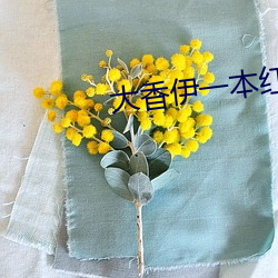 大香伊一本红心一区三区 （用语）