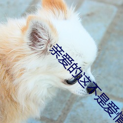 亲(親)爱的(的)这(這)不是爱情