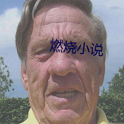 燃烧小说 （容易）