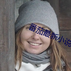 番茄最新小說