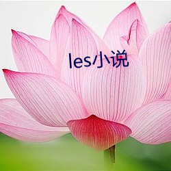 les小说