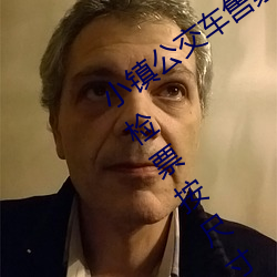 小镇公交车售票员用(用)b售票 检票员用下面检(檢)票按尺寸上车