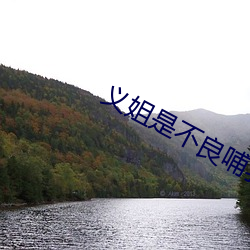 义姐是不(不)良哺乳动(動)物喂养樱(櫻)