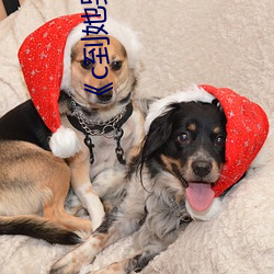 《c到她(她)哭》by黑暗森