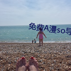 免費(費)A漫so导航(航)