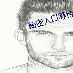 秘(秘)密入口等(等)待(待)加载中