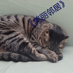 《美丽邻居》