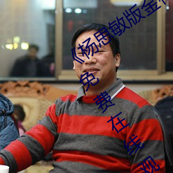 《杨思敏版金梅瓶1一5集播放》完整版免费在线观看