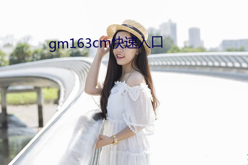gm163cm快速入口