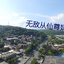 无敌(dí)从仙(xiān)尊奶爸开始