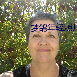 夢鴿年輕照片