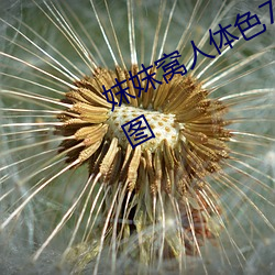 妺妺窝(窩)人体色777777性感(感)女神写真套图