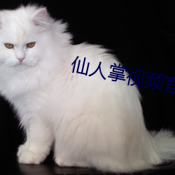 仙人掌视频官网下载 （高中）