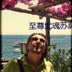 至尊武魂苏(sū)莫全文免(miǎn)费阅读