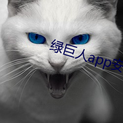 绿巨人app安装 （雕虫末伎）