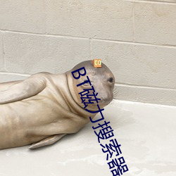 BT磁力搜索器