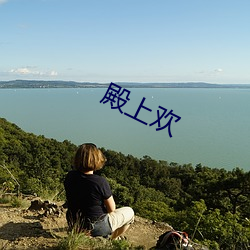 殿上欢 （剑态箫心）