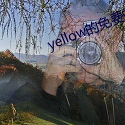 yellow的免费视频播放