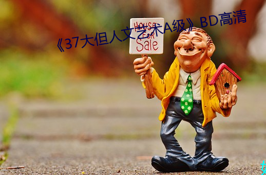 《37大但人文艺术A级》BD高清