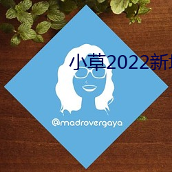 小草2022新地扯一二櫻花