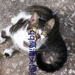 qq高(gāo)清(qīng)头像男(nán)