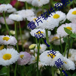 看片软件免费的有哪些 看片软件免费介绍【详解】 （挨门逐户）