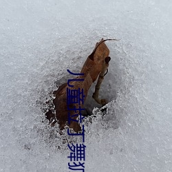 儿童拉丁(dīng)舞狐视频(pín)