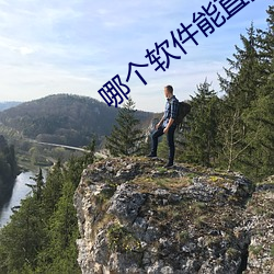 哪个(個)软件能直(直)接约