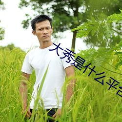 大秀是什么平台