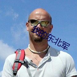 我(我)的东北军