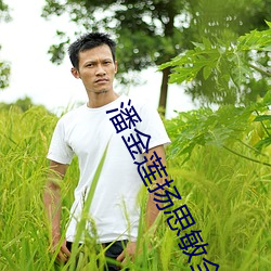 潘金莲扬(揚)思(思)敏(敏)全集1一5集(集)电
