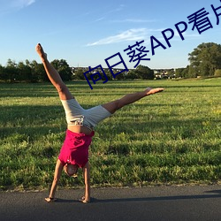向日葵APP看片版免费观看