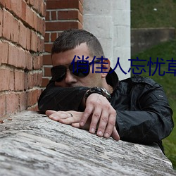 俏佳人忘憂草wyc